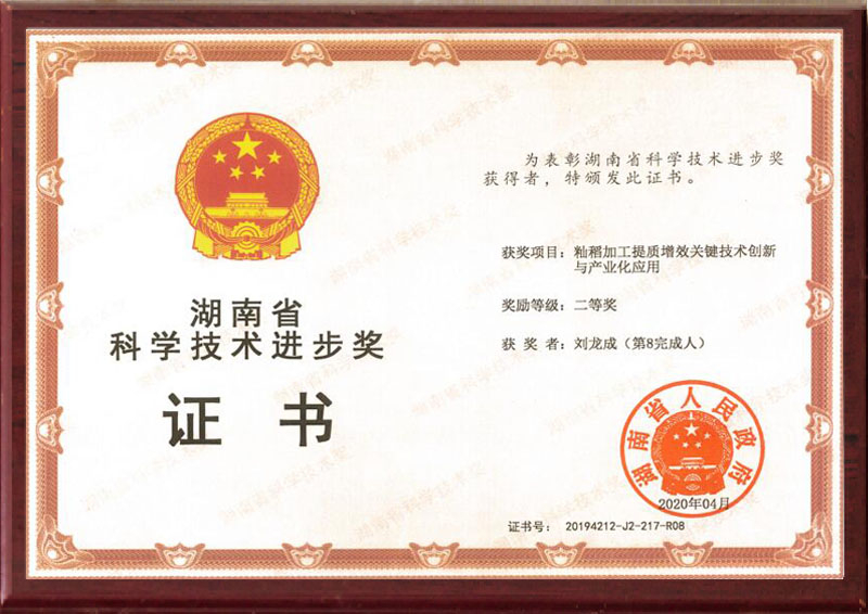 湖南省科学技术进步奖证书